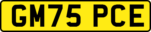 GM75PCE