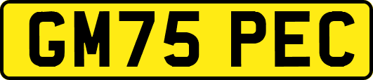 GM75PEC