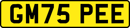 GM75PEE