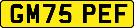GM75PEF