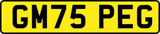 GM75PEG