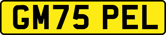 GM75PEL