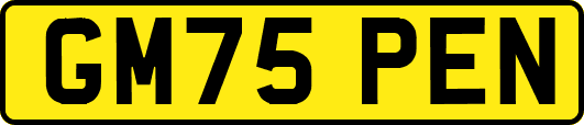 GM75PEN