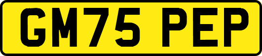GM75PEP