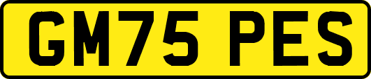 GM75PES