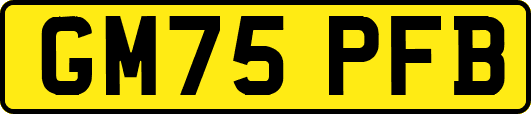 GM75PFB