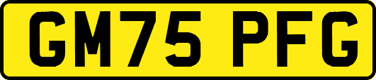 GM75PFG