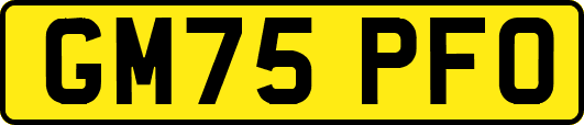 GM75PFO
