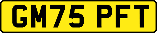 GM75PFT