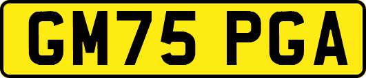 GM75PGA