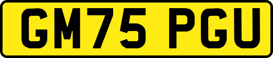 GM75PGU