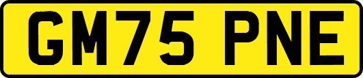 GM75PNE