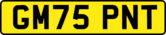 GM75PNT
