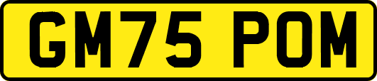 GM75POM
