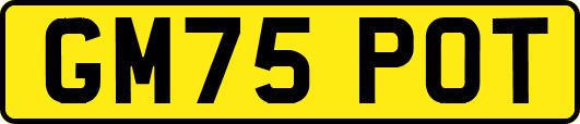 GM75POT