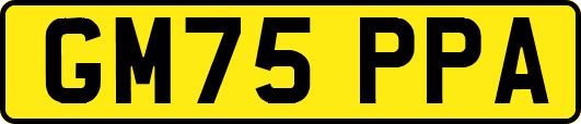GM75PPA
