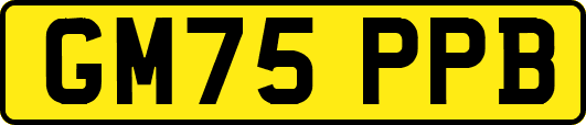 GM75PPB