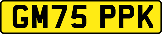 GM75PPK