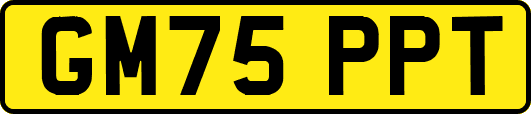 GM75PPT