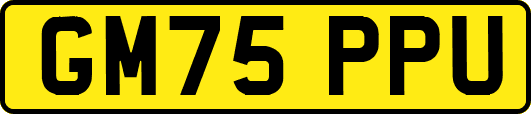 GM75PPU