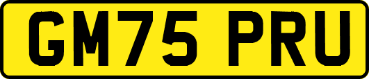 GM75PRU