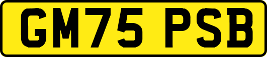 GM75PSB