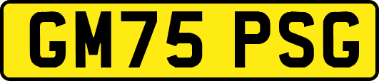 GM75PSG