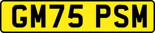 GM75PSM