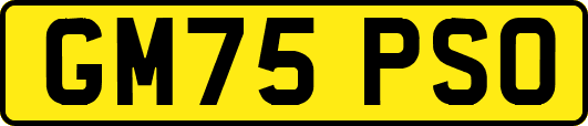 GM75PSO