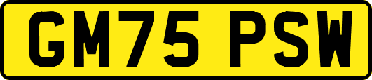 GM75PSW