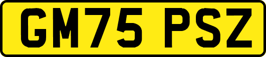 GM75PSZ