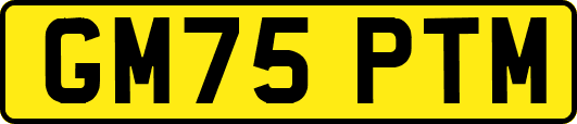 GM75PTM