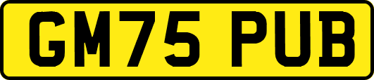 GM75PUB