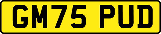 GM75PUD