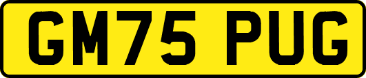 GM75PUG