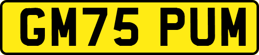 GM75PUM