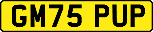 GM75PUP