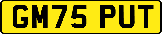 GM75PUT