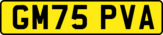 GM75PVA