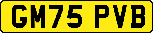 GM75PVB