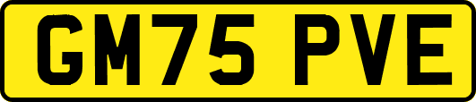 GM75PVE