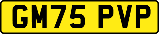 GM75PVP