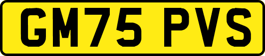 GM75PVS