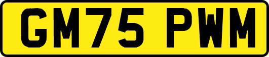 GM75PWM