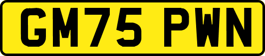 GM75PWN