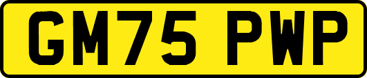 GM75PWP