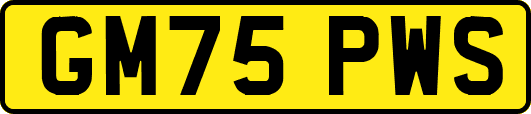 GM75PWS