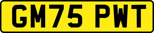 GM75PWT