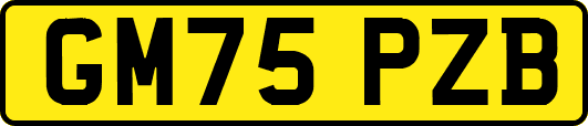 GM75PZB