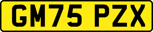 GM75PZX